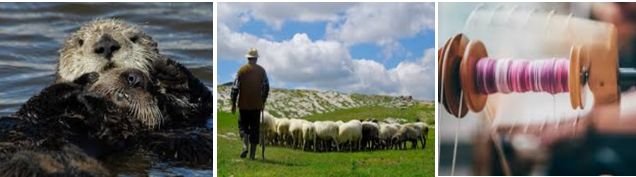 Image of Super Self-Sufficiency!