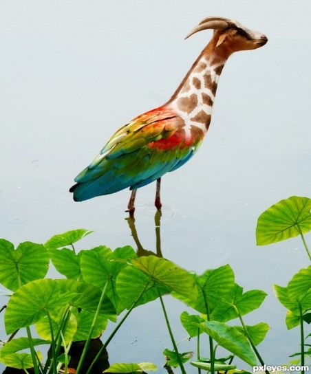 Image of Project Week 2