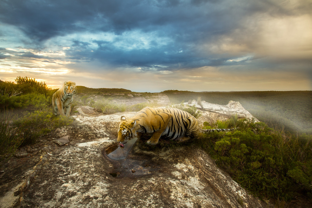 Image of Friday 3rd April