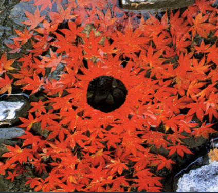 Image of Week 12 - Land Art Project