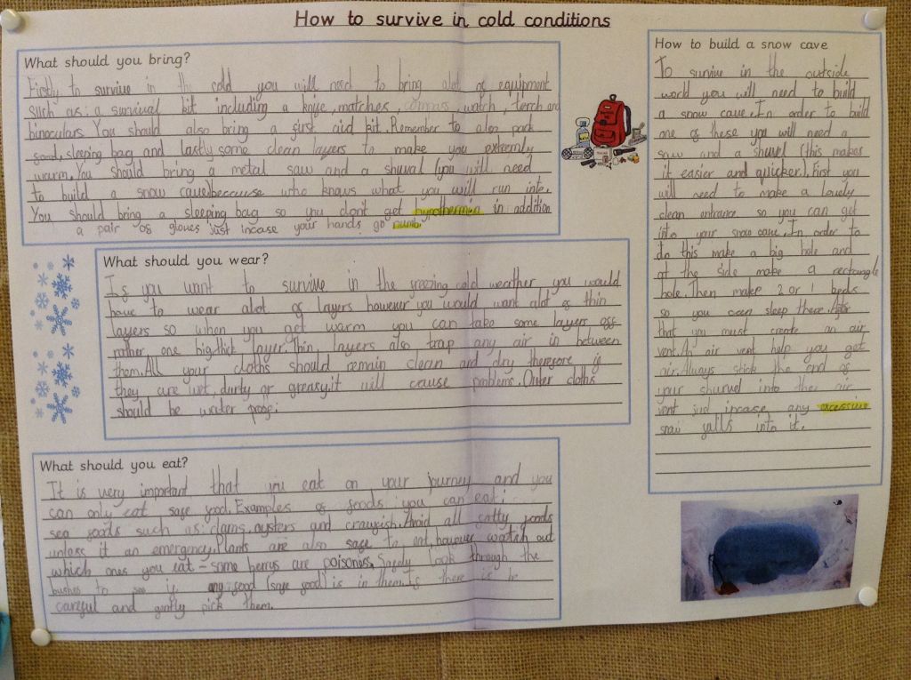 Image of Lights, Camera, Action!