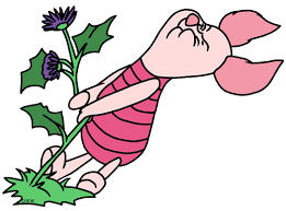 Image of Fun in the wildlife area!