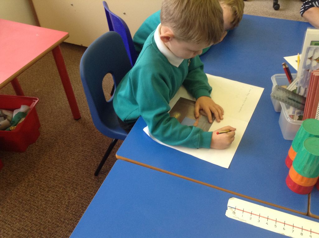 Image of Making predictions!