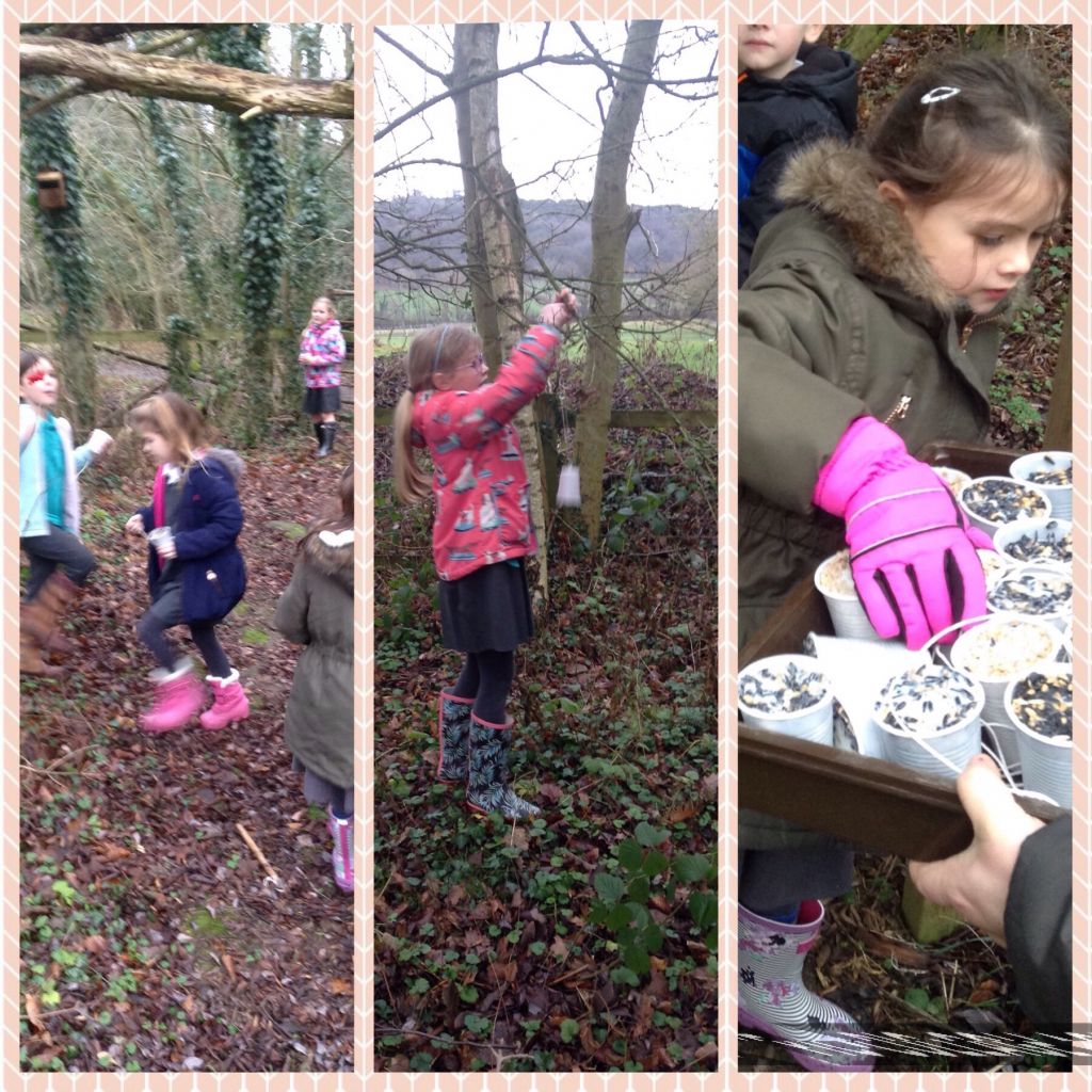 Image of Brilliant Bird Feeders