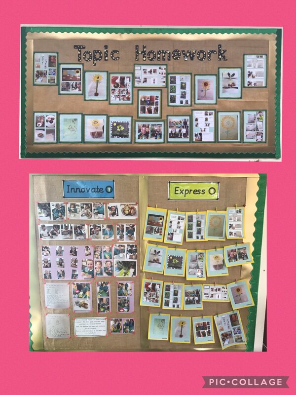 Scented Garden Topic Homework Roseberry Academy