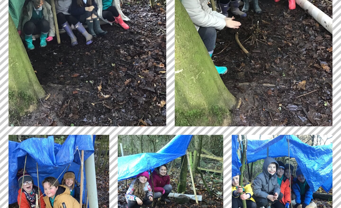 Image of Shelter building! 