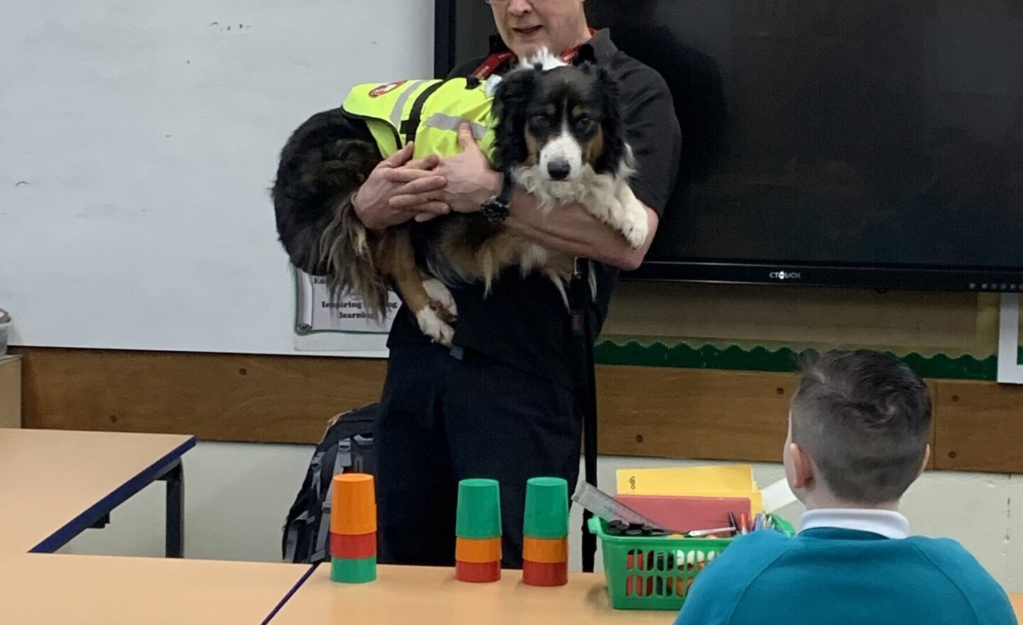 Image of Mountain Rescue - Oscar the wonder dog!