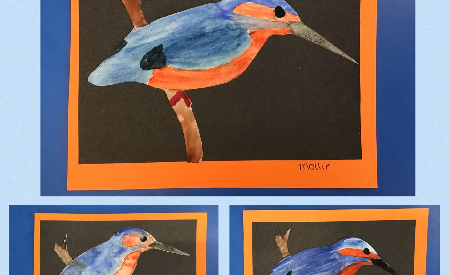 Image of Kingfishers! 