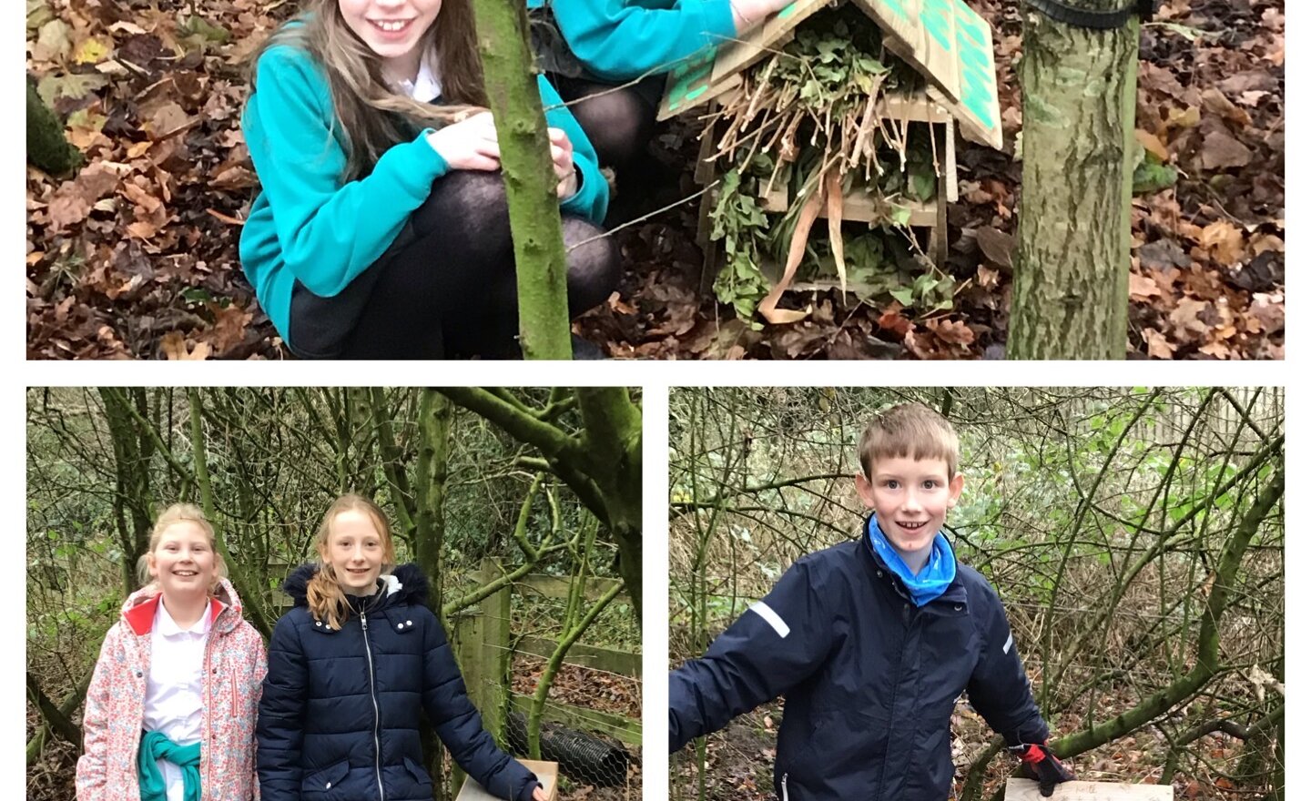 Image of Bug hotels, where they belong