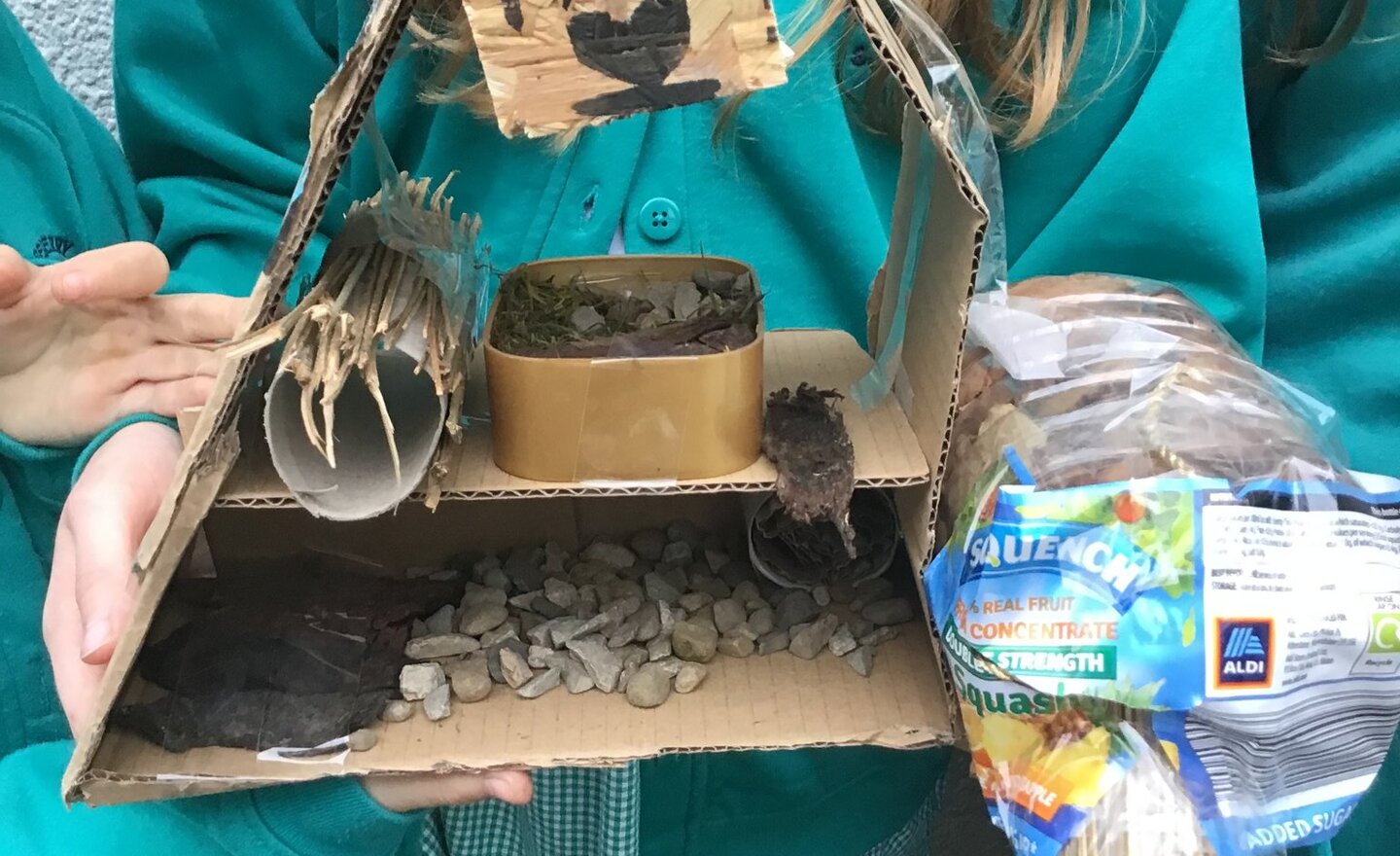 Image of Bug Hotel Creations!