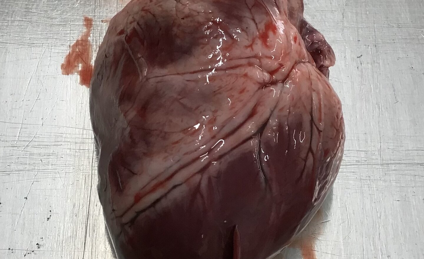 Image of Blood Heart!