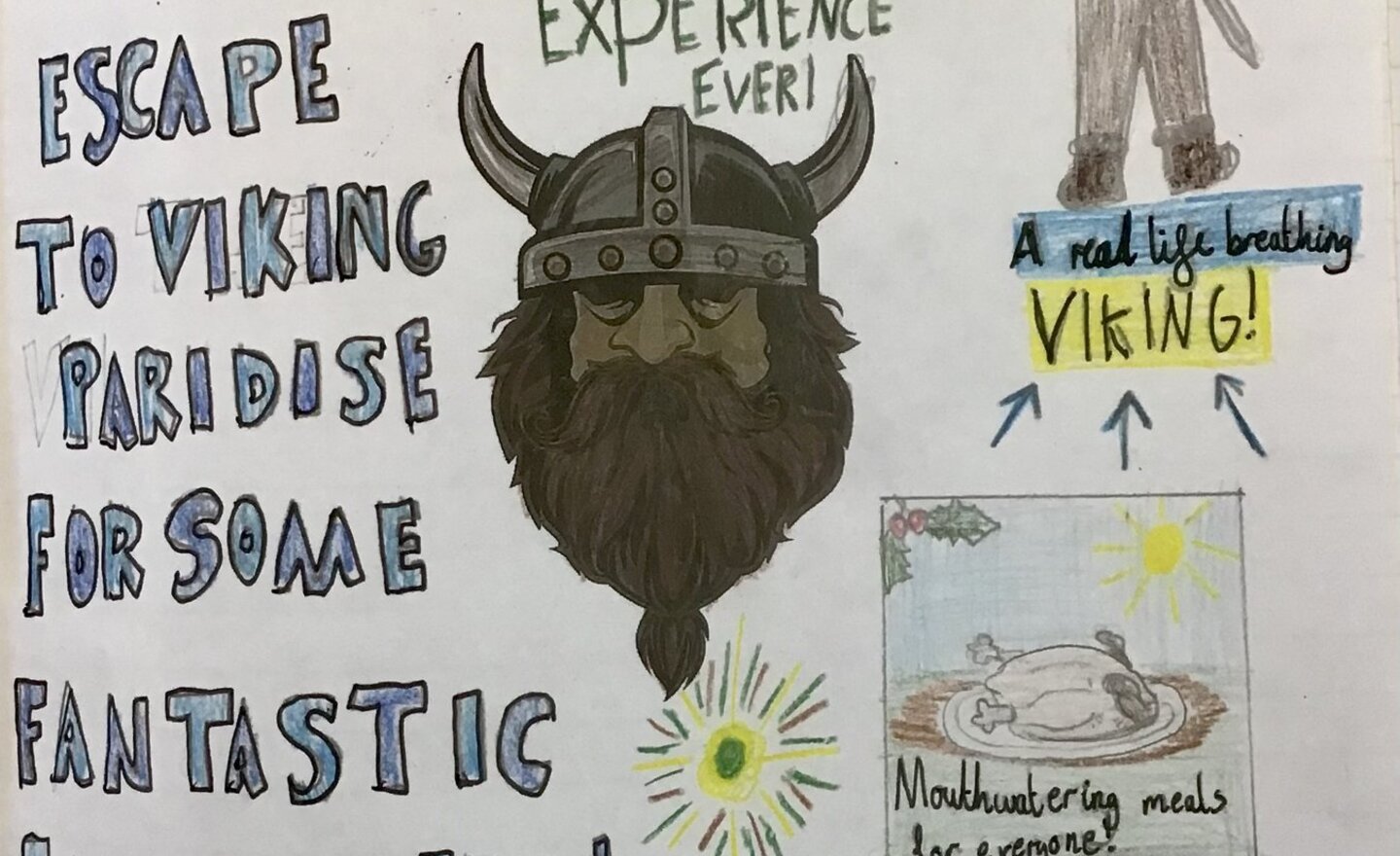 Image of The Vikings !