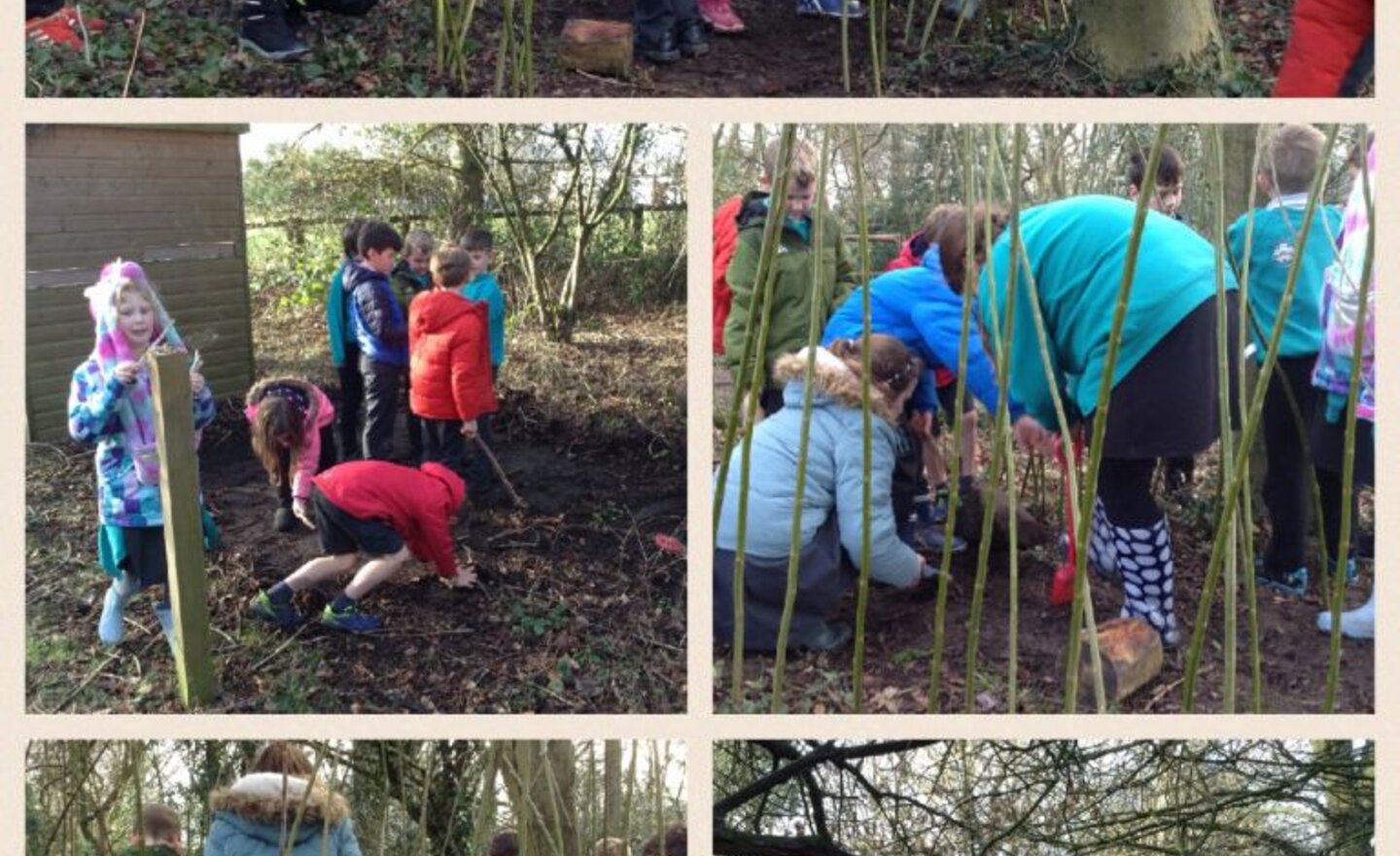 Image of Den building and tidy-up!