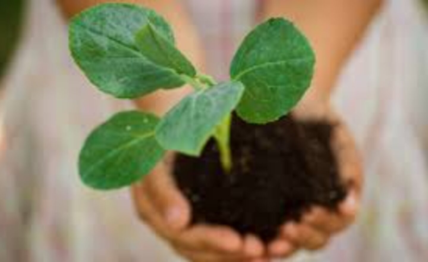 Image of Green Fingers