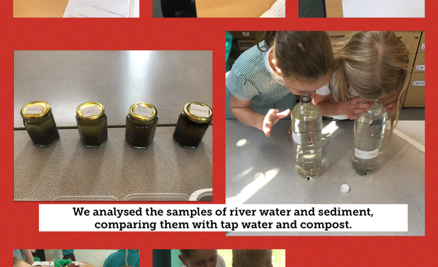 Image of Environmental Science