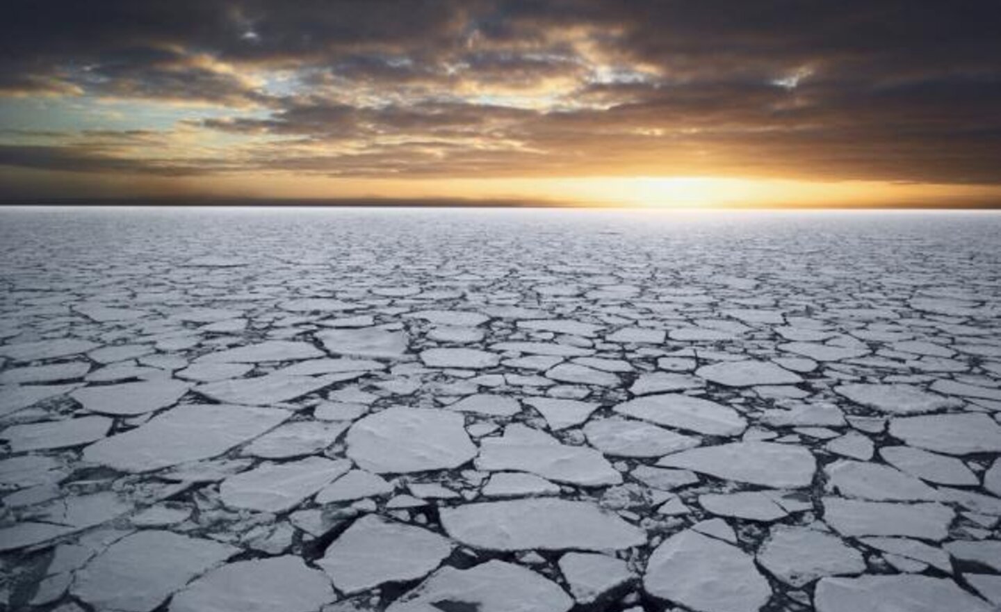 Image of Amazing Antarctic poems!