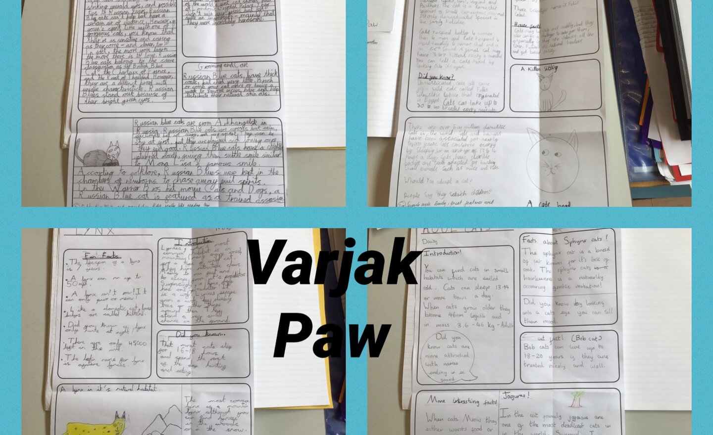 Image of Varjak Paw - Types of cats
