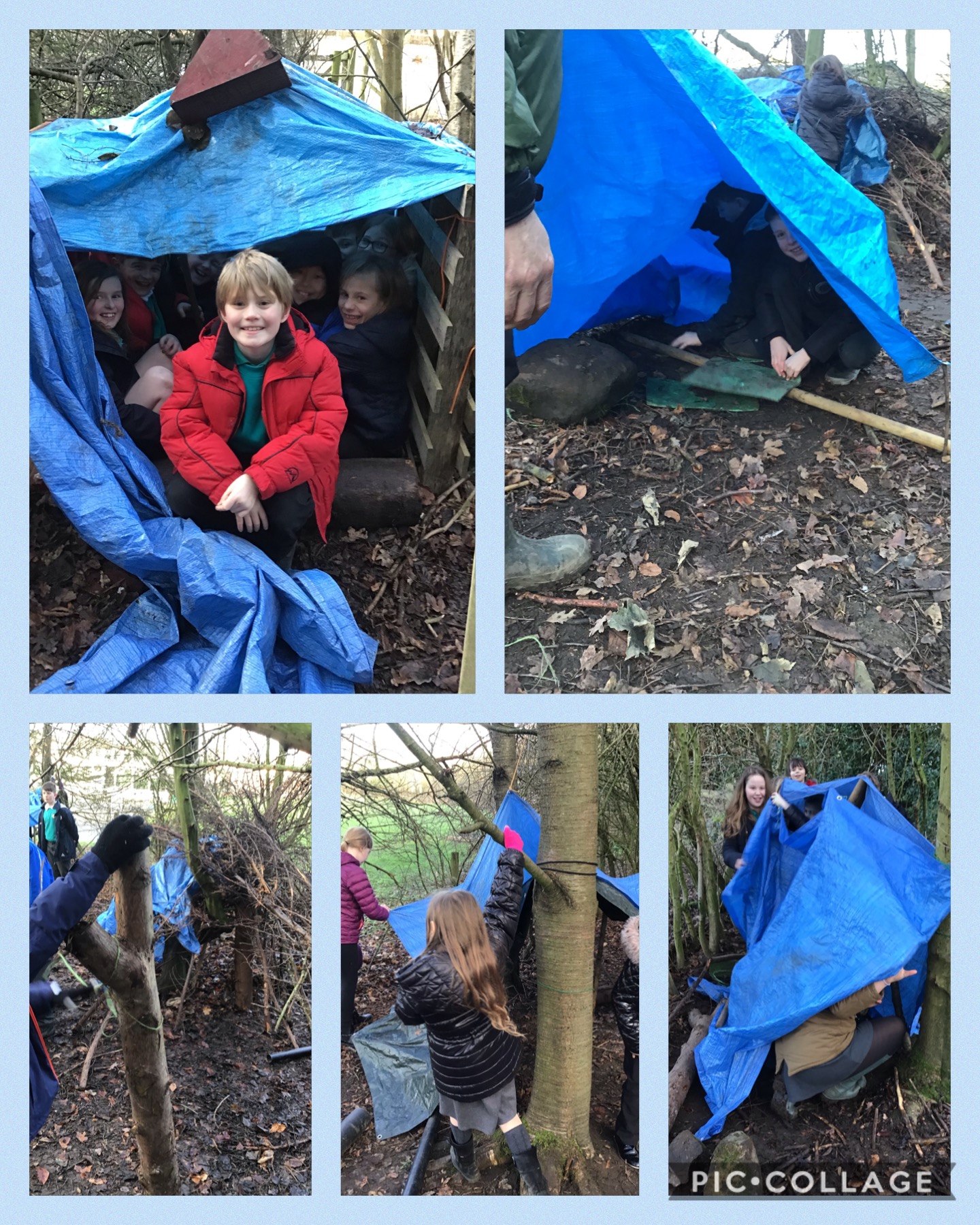 Image of Shelter Building!