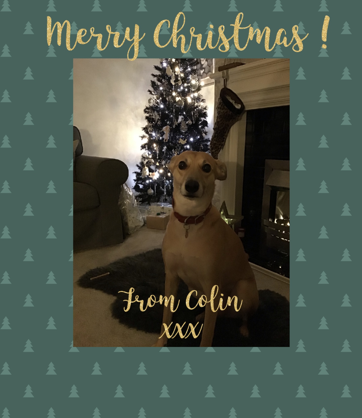 Image of Merry Christmas from Colin!