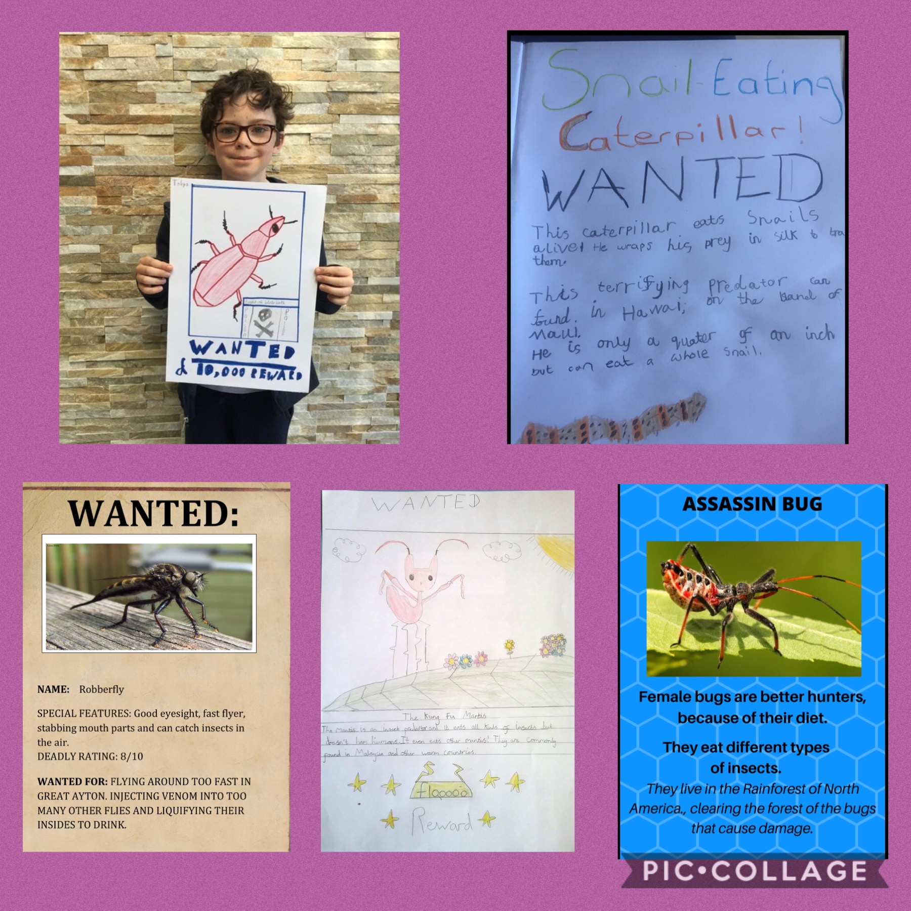 Image of WANTED!