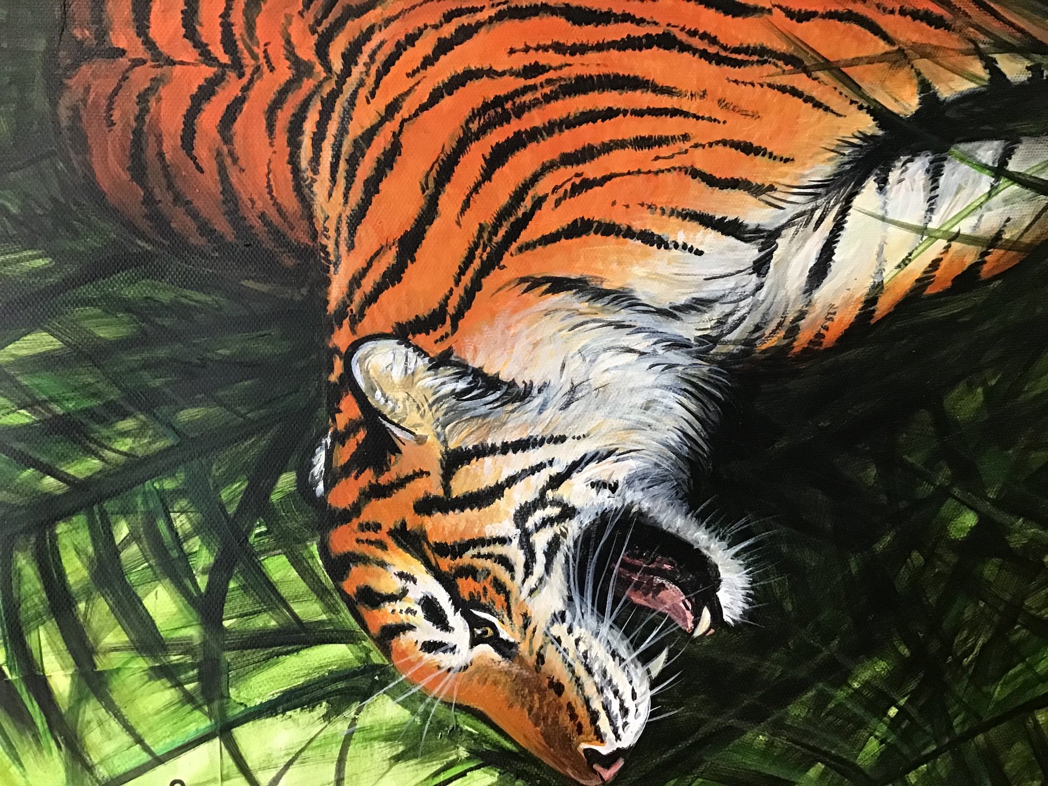 Image of Tiger Canvas