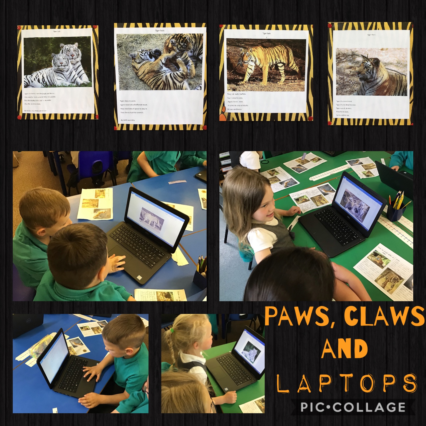 Image of Paws, claws and laptops