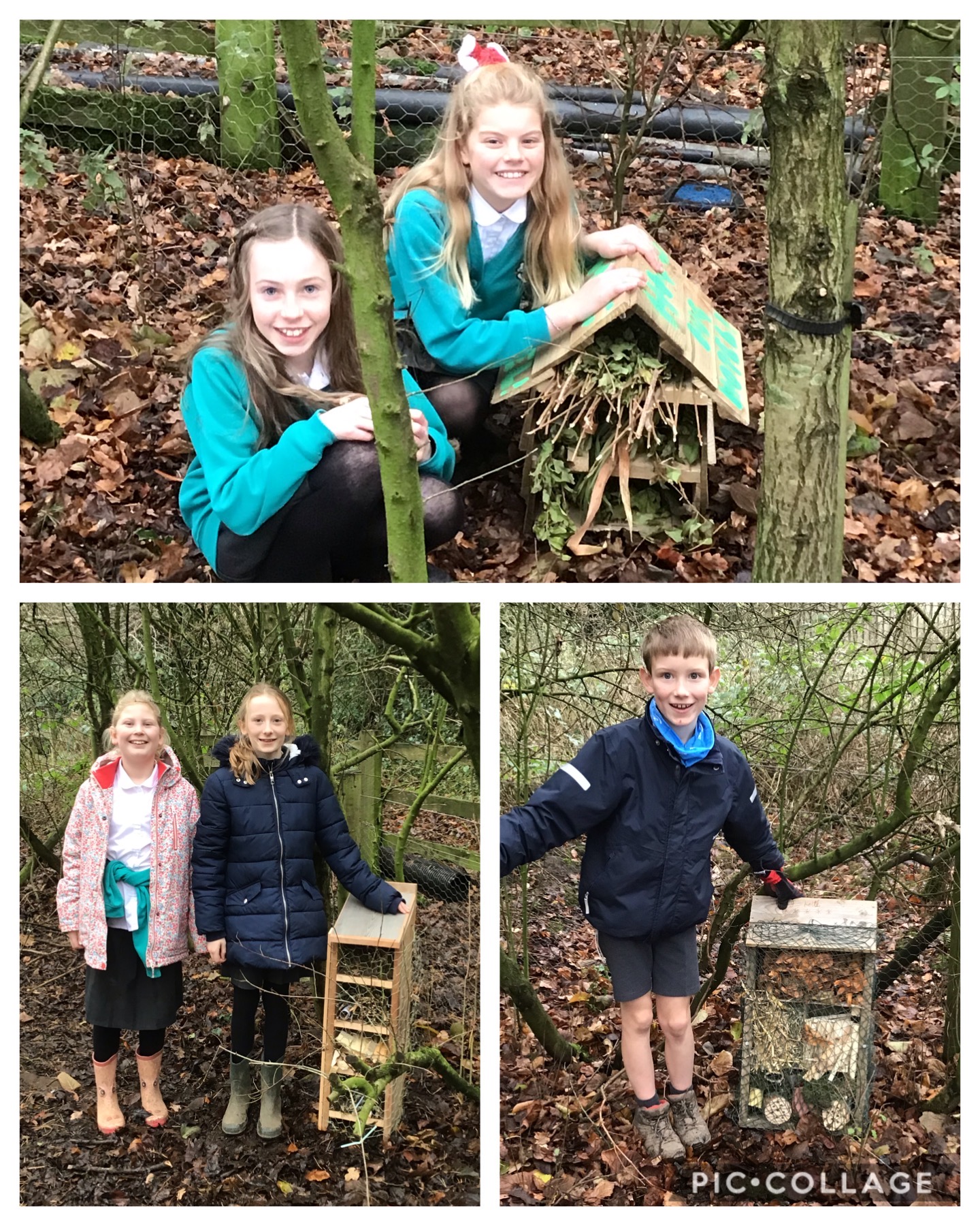 Image of Bug hotels, where they belong