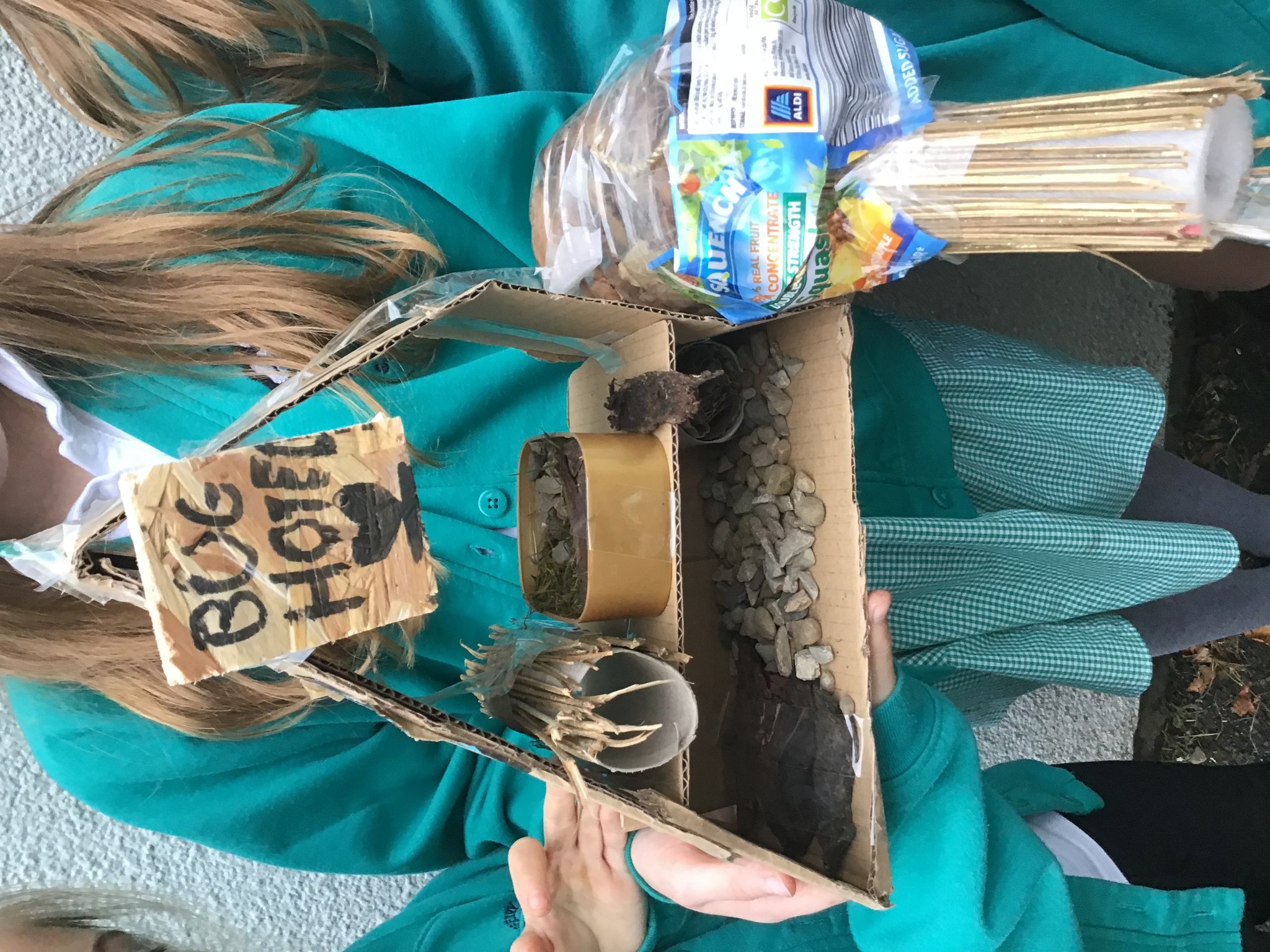 Image of Bug Hotel Creations!