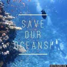 Image of Save Our Oceans Video!