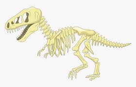 Image of Dinosaur Fossils