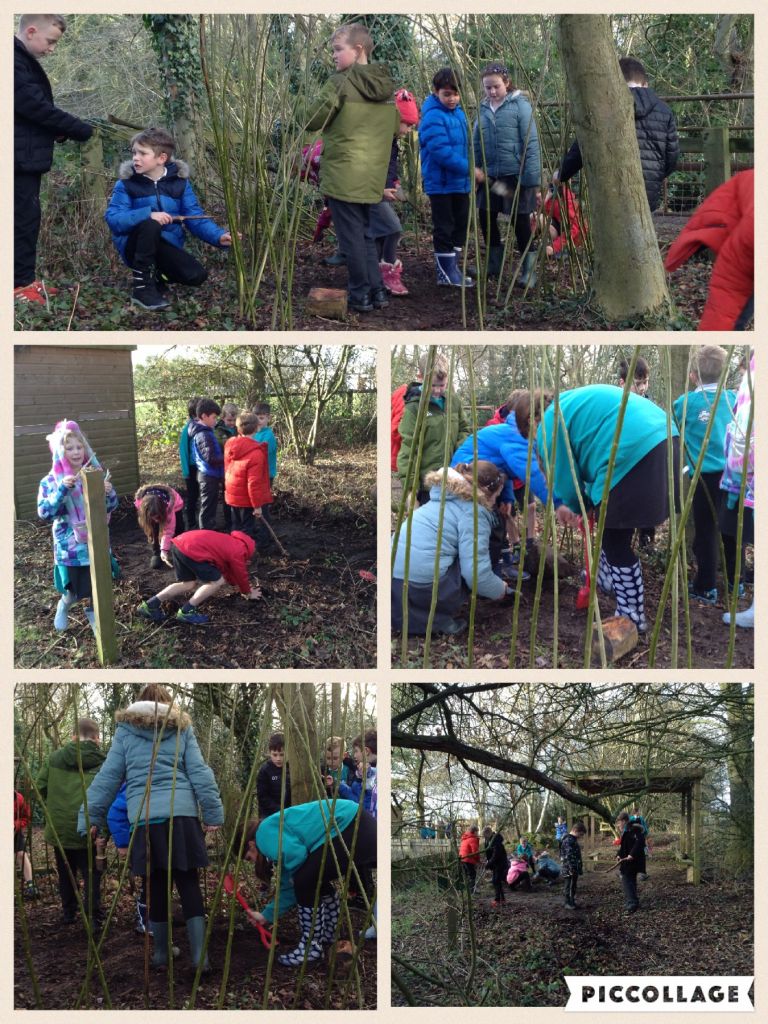 Image of Den building and tidy-up!