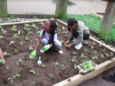 Image of science planting our prepared area