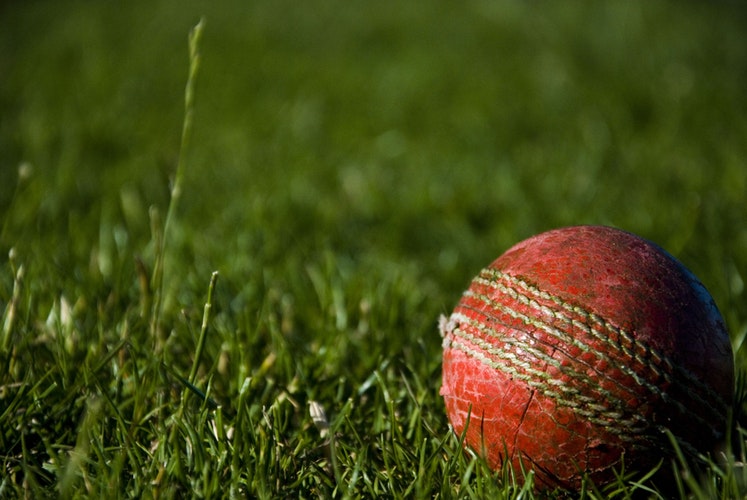 Image of Y4 Mixed Cricket (Sussex Cup)