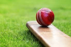 Image of Cricket Coaching: Alex Murray