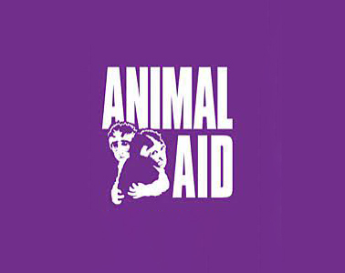 Image of Animal Aid visit to Y2