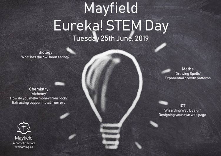 Image of Y5 Mayfield Eureka STEM Day