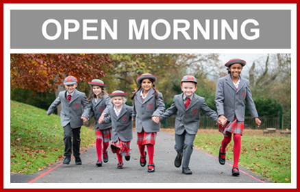 Image of Open Morning