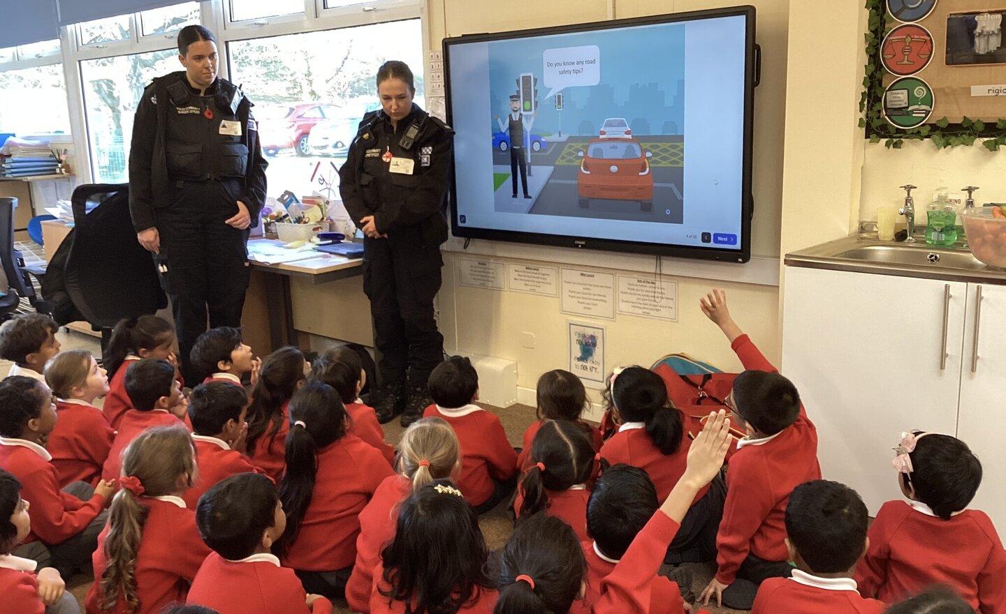 Image of Busy in Beech 