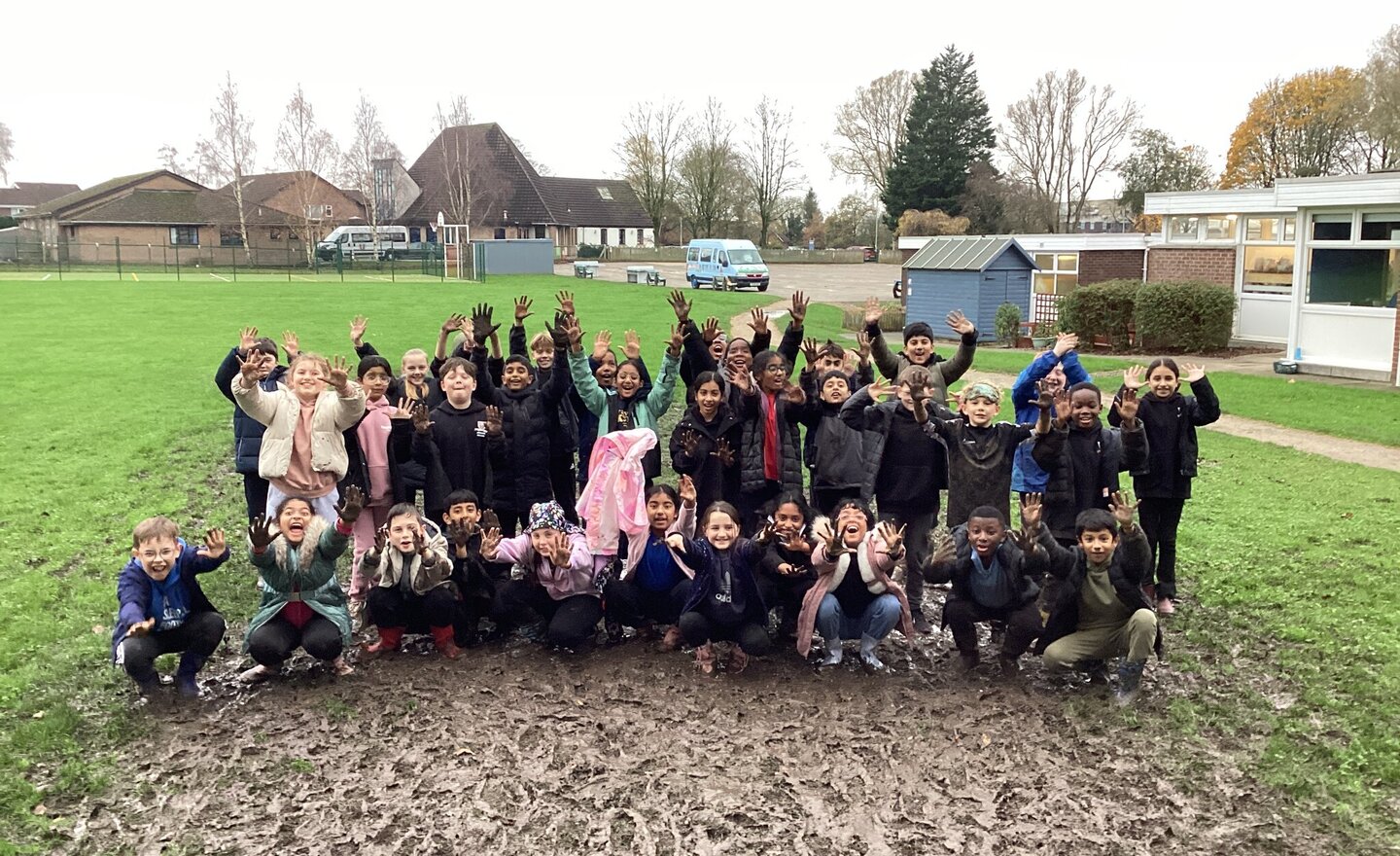 Image of Muddy forest