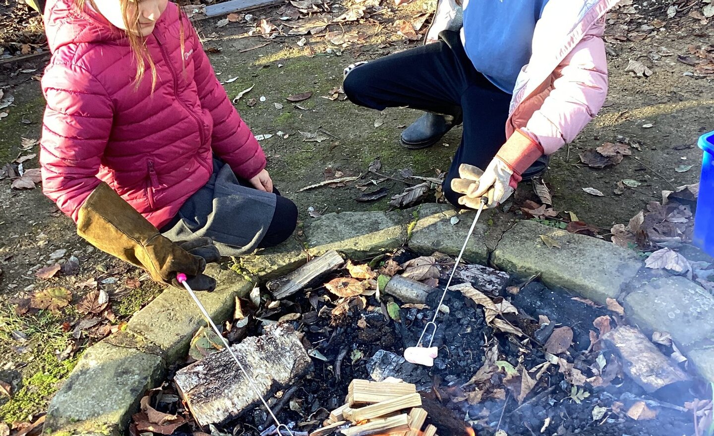 Image of Fire in the forest