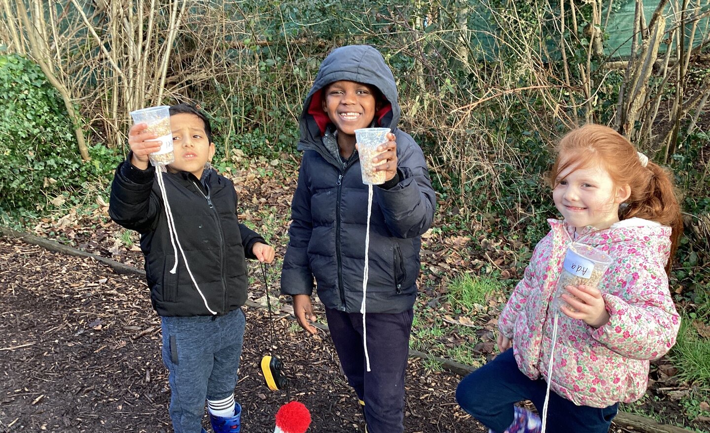 Image of Bird feeders