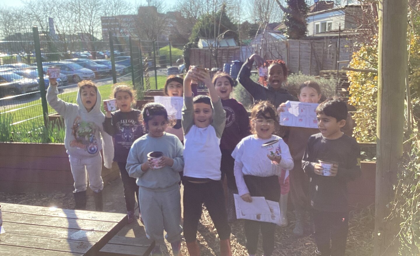 Image of Sunflower competition 