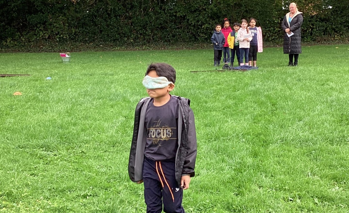 Image of Blind fetch in the forest
