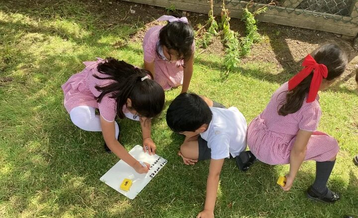 Image of Hazel’s Highlights – Our Final Full Week!