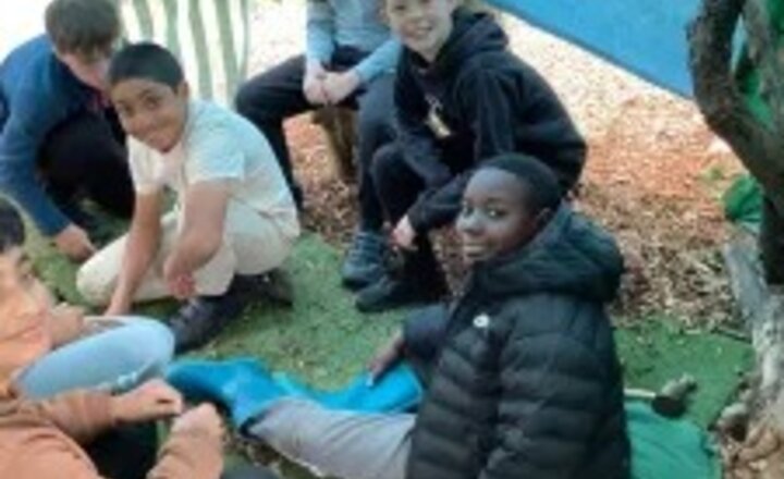 Image of Oak in the forest
