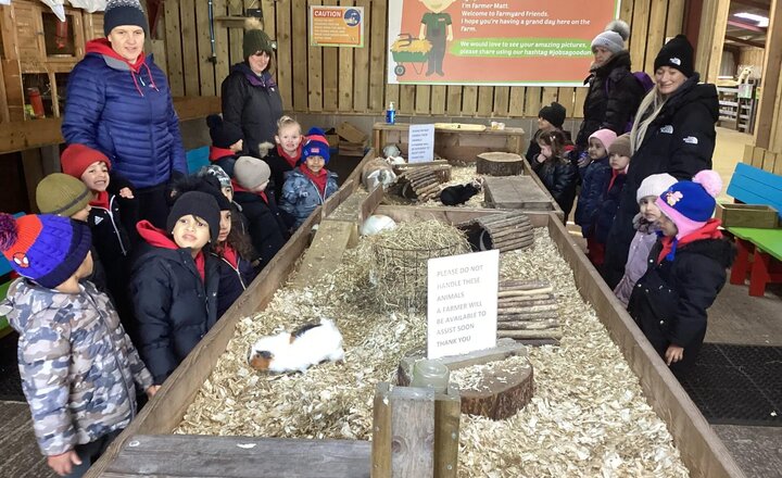 Image of Windmill Animal Farm