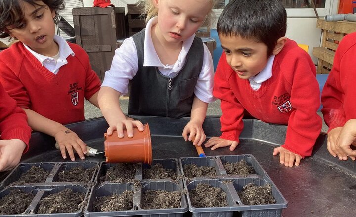 Image of Spring has sprung