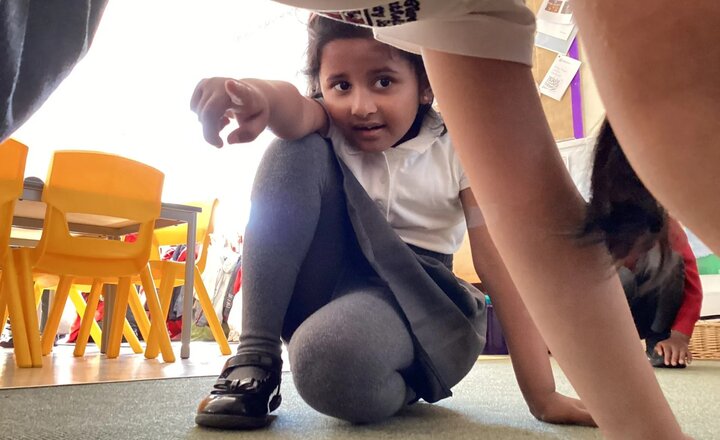 Image of Stories, Stats and Splashes!