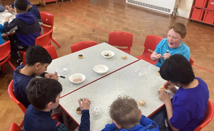 Image of Mother’s Day Cakes