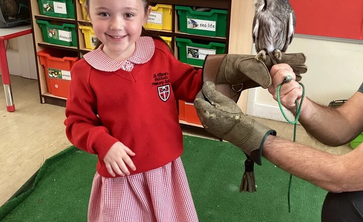 Image of Owl Experience